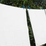 méthode pour réaliser votre propre lessive au lierre