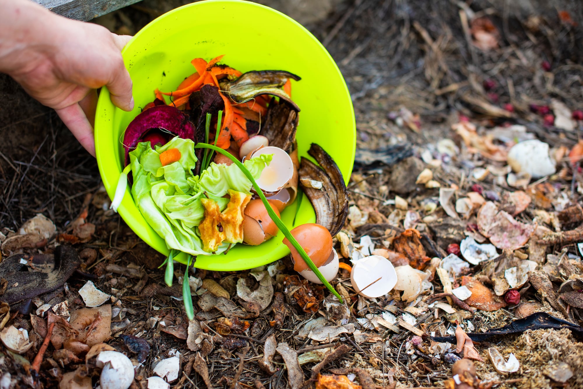 Les Aliments à ne surtout pas mettre au compost : Évitez ces erreurs pour un compost sain !