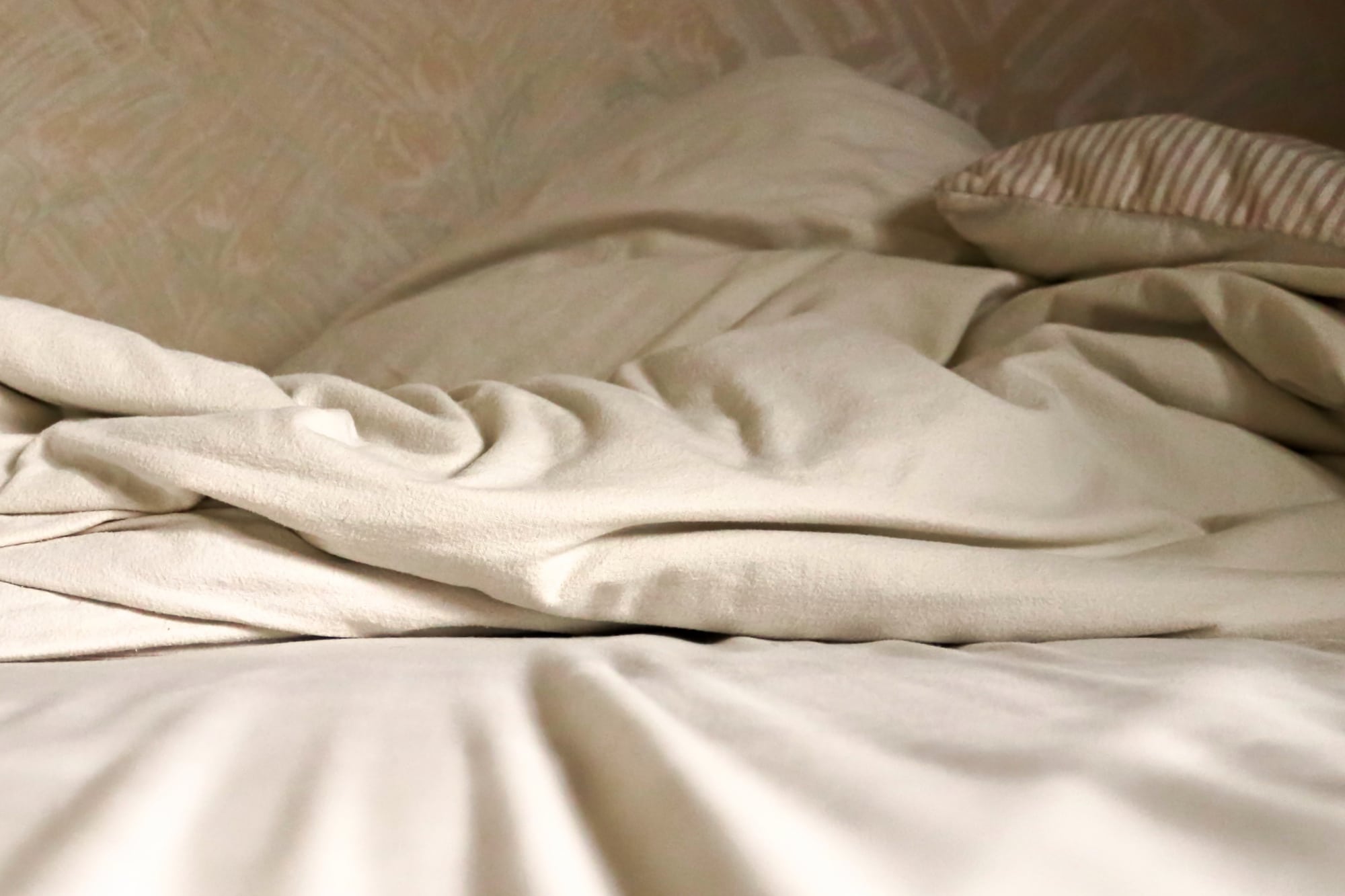 6 signes révélateurs des punaises de lit