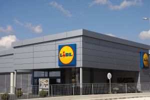 Alerte ! Cette moustiquaire incroyable chez Lidl déclenche une ruée massive !