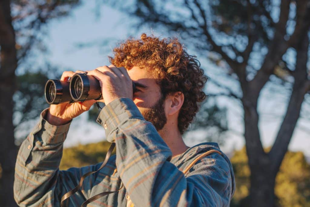 Jumelles Pour Observer Les Oiseaux Comment Choisir Les Meilleures