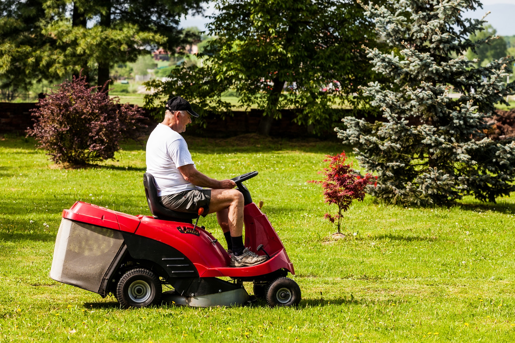 Les 15 erreurs à éviter pour tondre votre pelouse en juillet